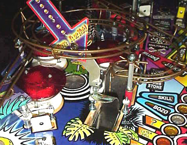 Ripley's Believe it or Not Detail 1