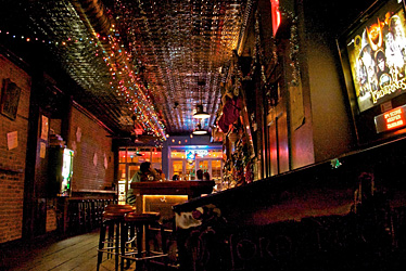 Lucky Dog Interior 4